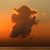 Gregory Pruden's profile image
