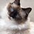 Vicki Danforth's profile image