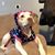 Joshua Behrenbrinker's profile image