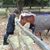 Jill LaRose's profile image