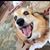 Christine Likovic-Fortuna's profile image