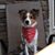Bonnie Roberts's profile image