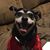 Sharon Davis Bullock's profile image