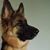 Candy Willis Breisacher's profile image