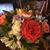 Dian Stewart Hughes's profile image