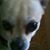 Shelva Jean Winfield's profile image