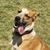 Lori Culwell's profile image
