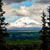Jodi Gittes's profile image