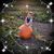 Jennifer Dean Niehaus's profile image
