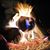 Eric Shideler's profile image