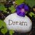 Michelle Eaton's profile image