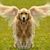 Beverly Cumberledge Whitehill's profile image
