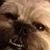 Tracey Reuck's profile image