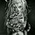 Dawn Parrotte's profile image
