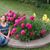 Lori Hinrichsen's profile image