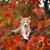 Jen Hollowbush's profile image