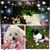 Jeanie Musser's profile image