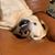 Johnette Wallace's profile image