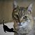 Angela Roberts's profile image