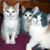 Doris Jean Montgomery's profile image