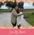 Elizabeth Trevino Ramirez's profile image