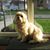 Dee Cathy's profile image