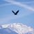 Georgeann Kulton's profile image