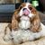 Vicky Roberts's profile image