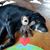 Nancy J. Myers's profile image