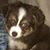 Shannon Sisco Miller's profile image
