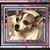 Cindy Croshaw's profile image