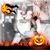 Tony Dorris's profile image