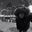 David Thornell's profile image