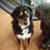 Barb Bruhn's profile image