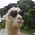 Danny N Laura Gonzalez's profile image