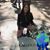 Lori Knoll Chown's profile image