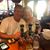 Deb Boyer's profile image