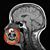 Tammi Hammerot Smith's profile image