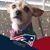 Jerry Fisher Moriel's profile image