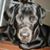 Kelly Anderson's profile image