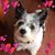 Shannon Seaton-Haase's profile image