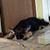 Lori Shaulis's profile image