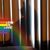 Augustina Rios's profile image