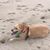 Kimberly Fitzgerald's profile image