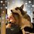 Loran McEvoy's profile image