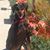 Rachel Moore Kelley's profile image