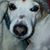 Tracy Short's profile image