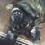 Mary Ann Wolff's profile image