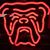 DaneAnd WardShow's profile image