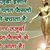 Sonu Patel's profile image